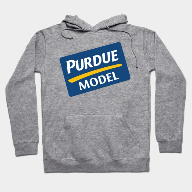 Purdue Model Hoodie by BinaryBrewWorks